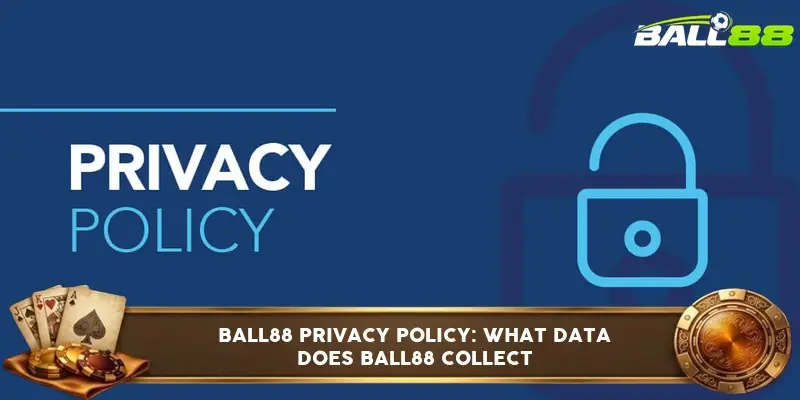 Ball88 privacy policy page Ball88 privacy policy page